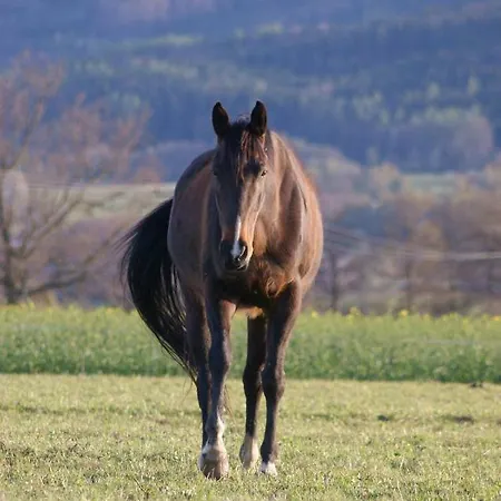 Ubytovani Na Ranci S Rybarenim Babice (Prachatice)
